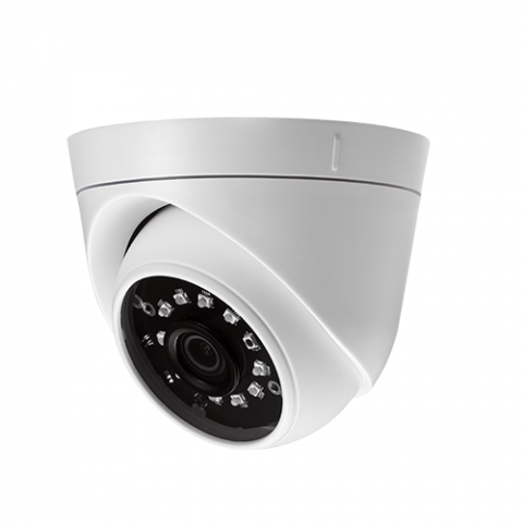 Nasslok - Câmera Analógica de Globo Ocular IR 2MP ES-32B11J-B1 NA